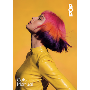 POPCOLOUR MANUAL - Nederlands