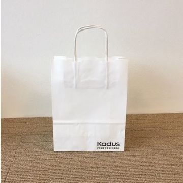 Papieren draagtasjes 25 stuks